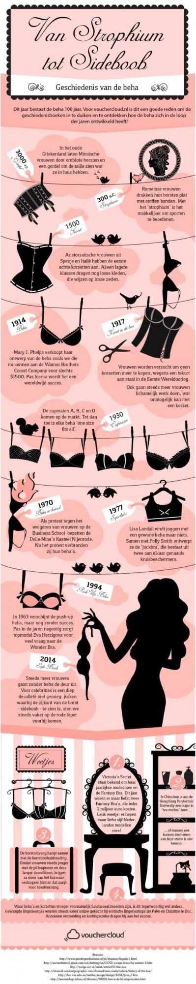 100 jaar BH infographic